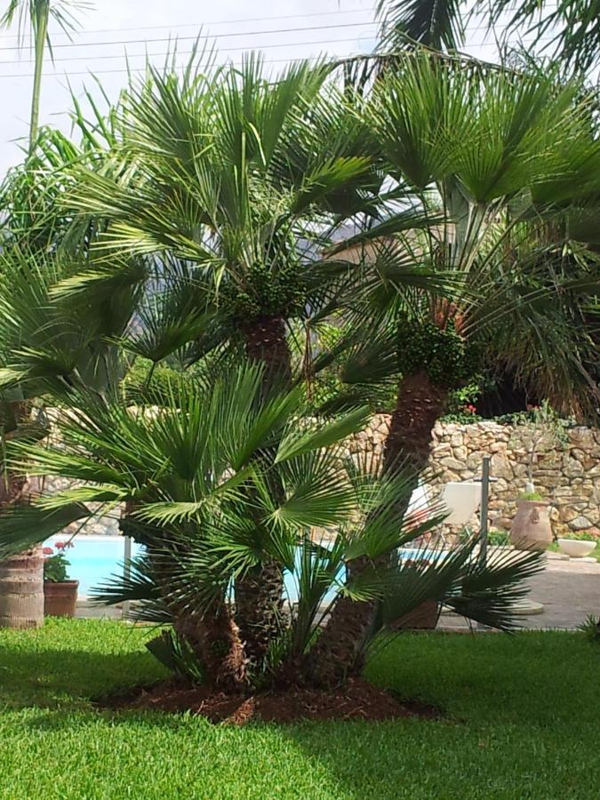 Villa Manzella Piscina Privata Cinisi Exteriér fotografie